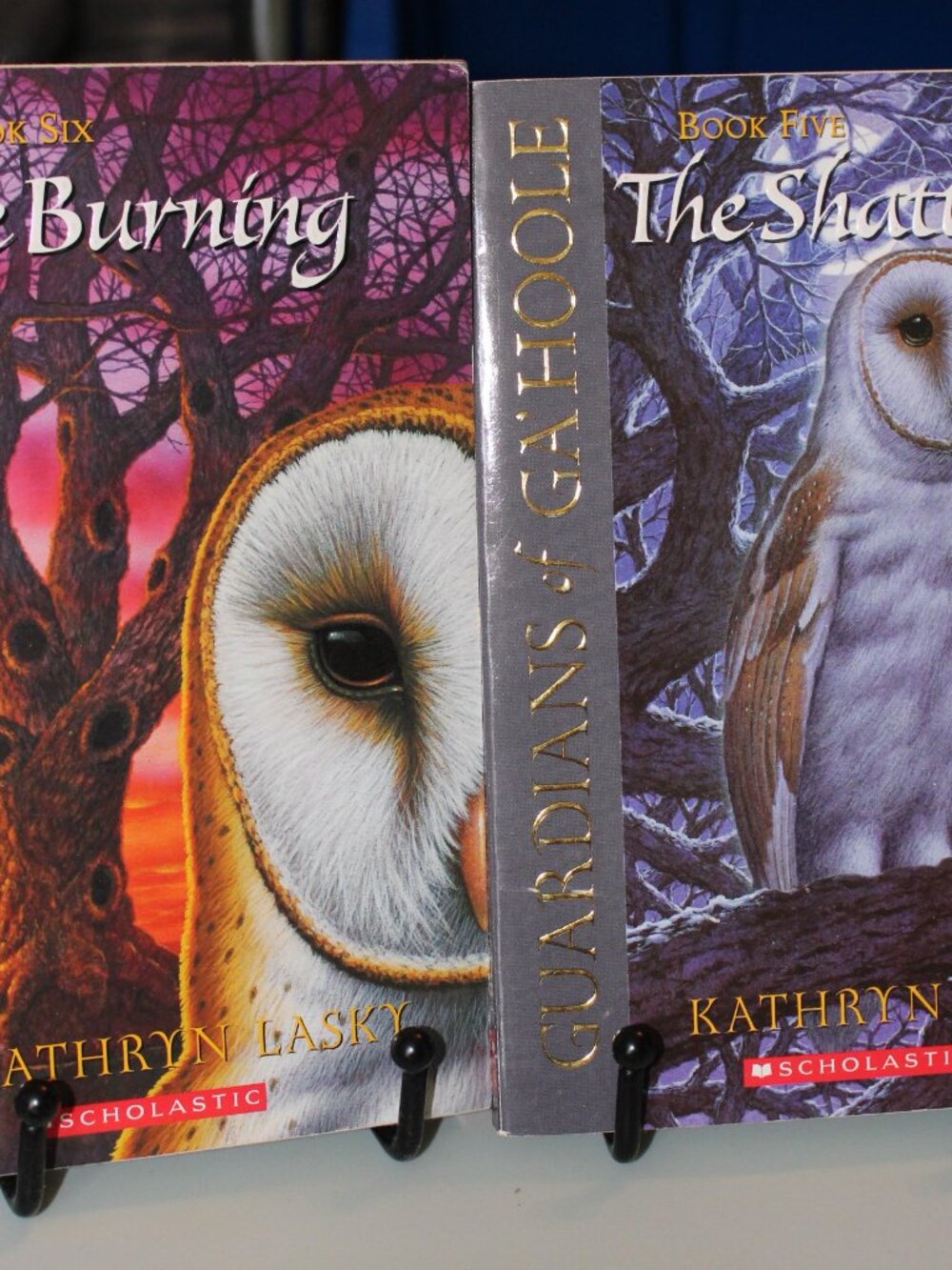 Guardians of Ga'Hoole, Books 1-12 by Kathryn Lasky - Picture 5 of 7